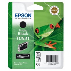 Epson Branded T0541 Photo Black Ink Cartridge.