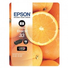 Epson Branded T3341 Photo Black Ink Cartridge.